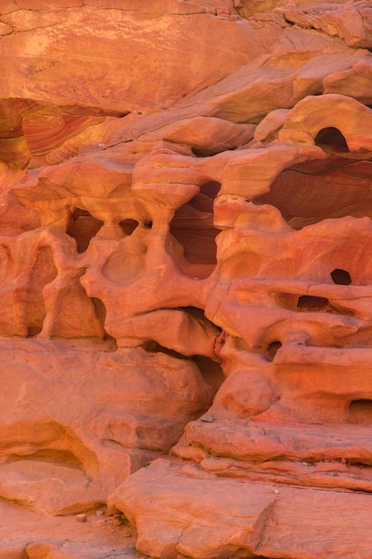 Canyon colorato è una formazione rocciosa sulla penisola del Sinai meridionale dell'Egitto Rocce del deserto di arenaria multicolore