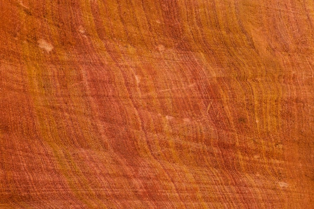 Canyon colorato è una formazione rocciosa sulla penisola del Sinai meridionale dell'Egitto Rocce del deserto di arenaria multicolore