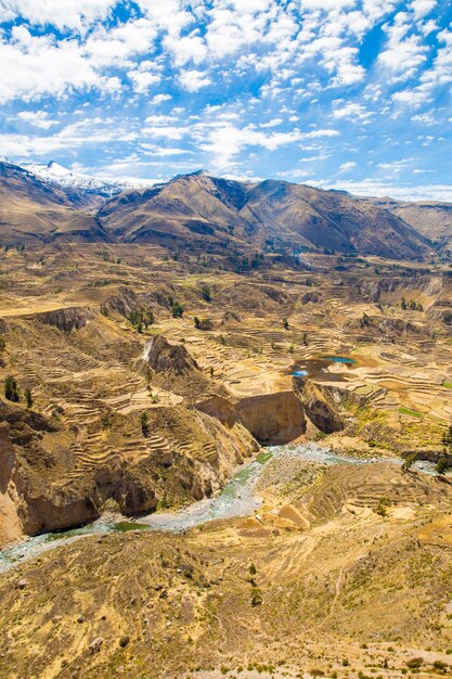 Canyon del Colca PerùSud America Incas costruiranno terrazze agricole con stagno e scogliera Uno dei canyon più profondi del mondo