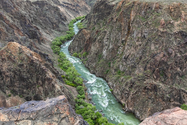 Canyon del fiume Charyn in primavera