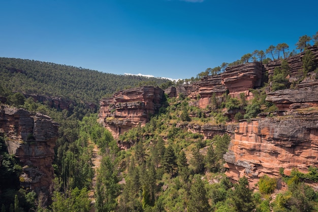 Canyon del fiume Gallo a Guadalajara, in Spagna.