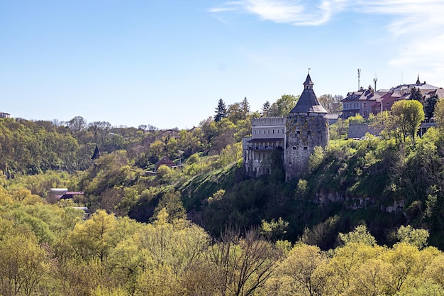 Canyon del fiume Smotrich con vista sulla Torre Potters a KamenetsPodolsky in Ucraina