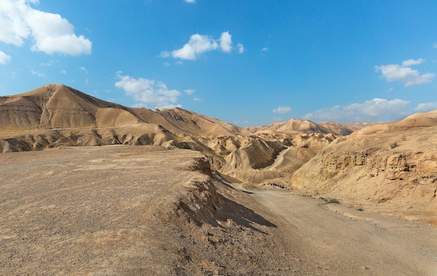 Canyon del letto del fiume OG all'alba in Israele