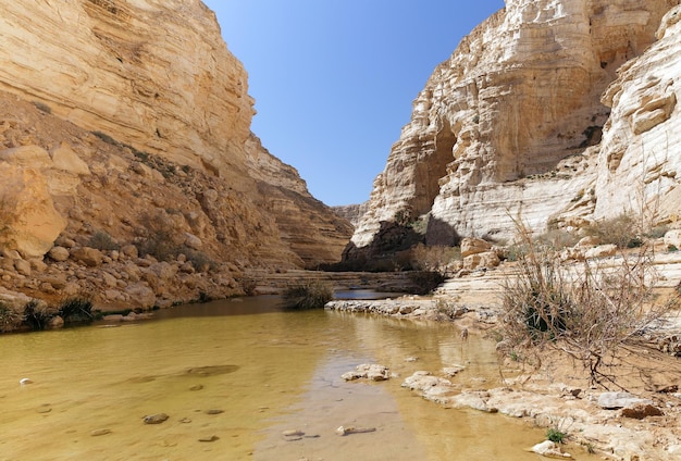 Canyon di Avdat nel deserto del Negev, Israele