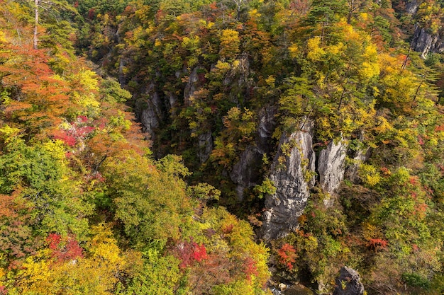 Canyon di Naruko in Giappone