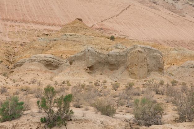 canyon di pietra nelle montagne del deserto AltynEmel Kazakistan Almaty