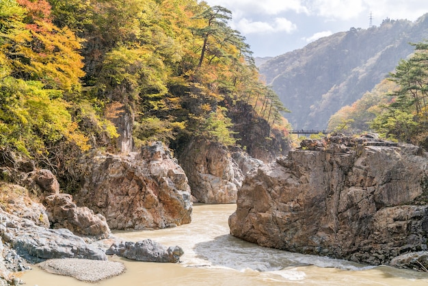 Canyon di Ryuyo Gorge Nikko in Giappone