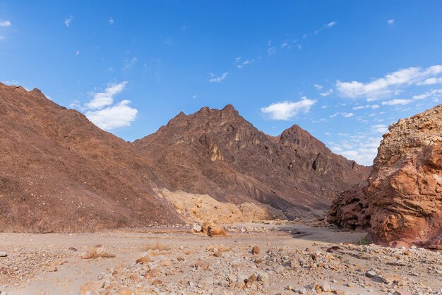 Canyon di Shkhoret nel deserto di Arava Israele