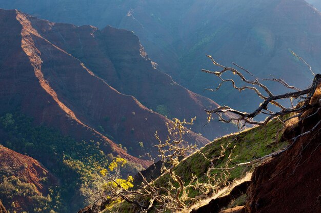 Canyon di Waimea a Kauai