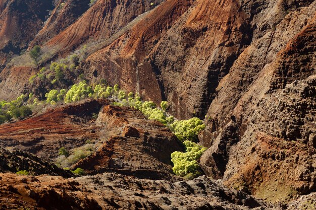 Canyon di Waimea a Kauai