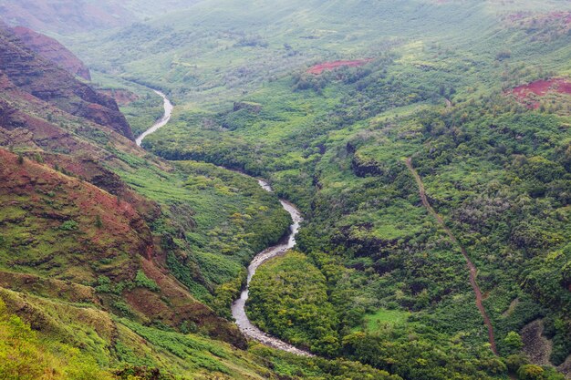 Canyon di Waimea, Kauai, Hawaii