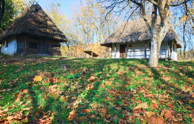 Capanna di legno del paese storico ucraino con tetto di paglia e erba da giardino autunnale vicino