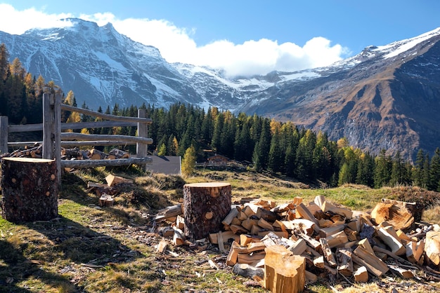 Capanna di legno di montagna in montagna e un mucchio di legna da ardere in primo piano