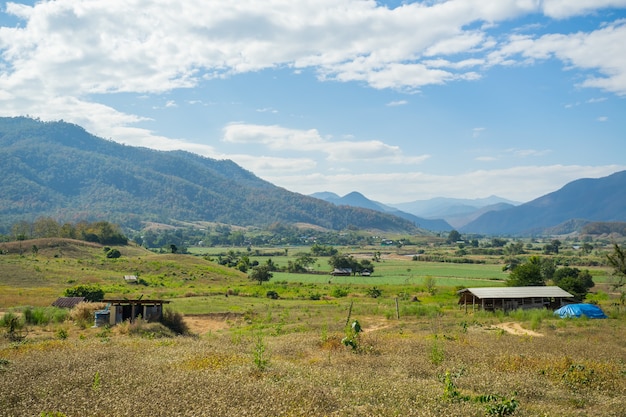 Capanna di legno nella campagna del giacimento del riso in Pai, Tailandia