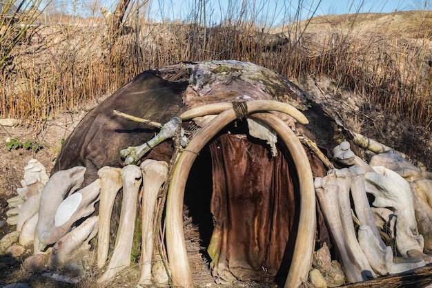 Capanna di popoli primitivi, costruita con ossa e pelle