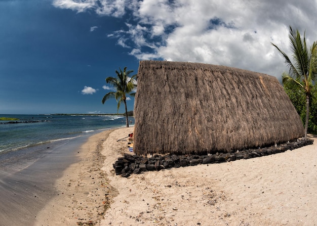 Capanna hawaiana sulla spiaggia