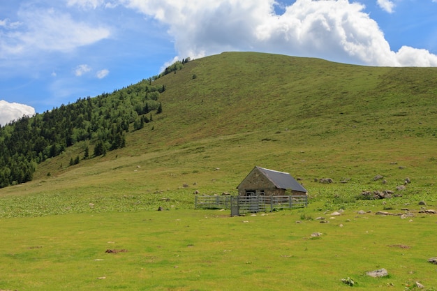 Capanna moderna per l'allevamento del bestiame con la montagna verde