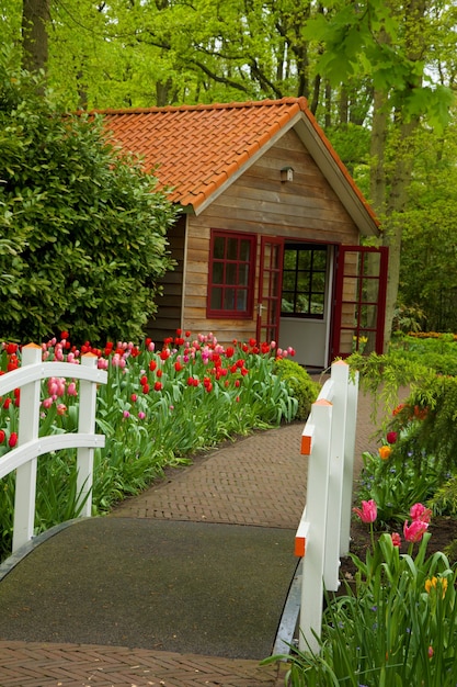 Capanna nel giardino fiorito di primavera Keukenhof, Olanda