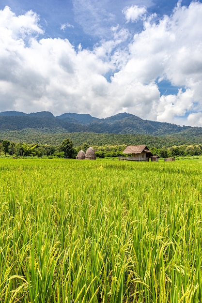 Capanna Srtaw all'interno del campo di riso al Lago Huai Thung Tao a Chiang Mai, Thailandia, circondato da una splendida natura montagne e nuvole