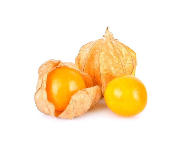 Cape Gooseberry su uno spazio bianco