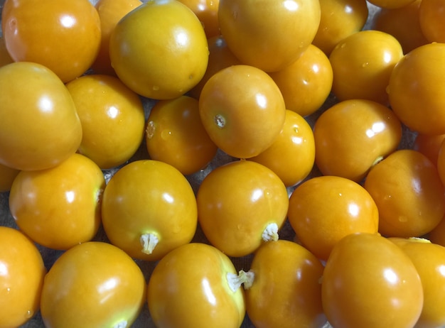 Cape Gooseberry