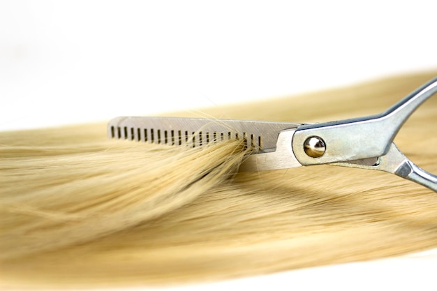 Capelli biondi lucidi e cesoie per capelli Forbici da parrucchiere su bianco Materiali per l'estensione dei capelli e cosmetici Parrucca per la cura dei capelli Taglio di capelli in salone