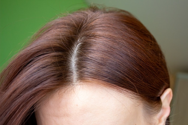 Capelli sul primo piano della testa di una donna. Colore dei capelli castano di.