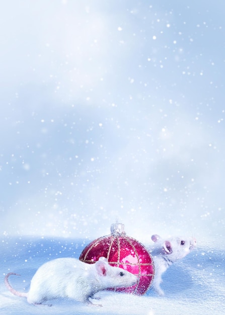 Capodanno cinese Due topi e palla di Natale nella neve Il 2020 è l'anno del topo Immagine artistica invernale Spazio di copia