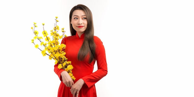 Capodanno lunare vietnamita Le donne indossano la tradizione vietnamita ao dai con l'albero Hoa Mai Ochna Integerrima in fiore nelle vacanze del Tet Vietnam Capedanno lunare in primavera