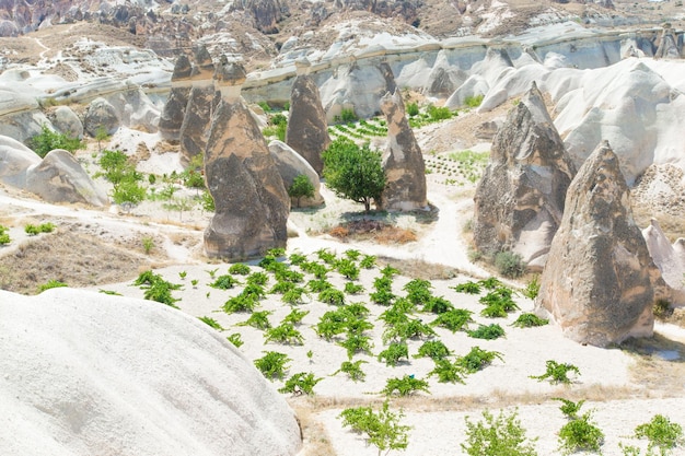 Cappadocia Turchia