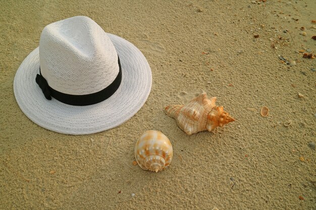 Cappello bianco con due tipi di bellissime conchiglie naturali sulla spiaggia sabbiosa della Thailandia