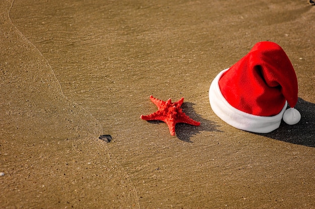 cappello di Babbo Natale, natale tropicale