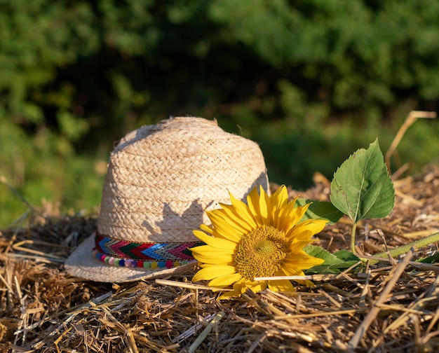 cappello di paglia con fiore nel fieno