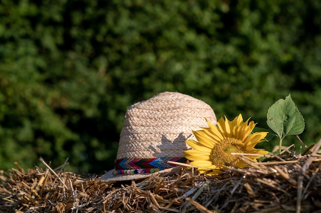 cappello di paglia con fiore nel fieno