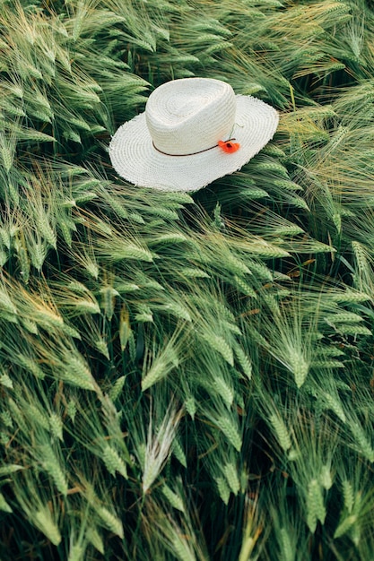 Cappello di paglia rustico e papavero rosso su orecchie di orzo nella vista serale del campo sopra fiori selvatici e cappello da fattoria nella campagna estiva Momento atmosferico nel prato serale