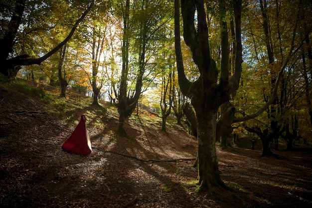 Cappuccetto Rosso nella foresta