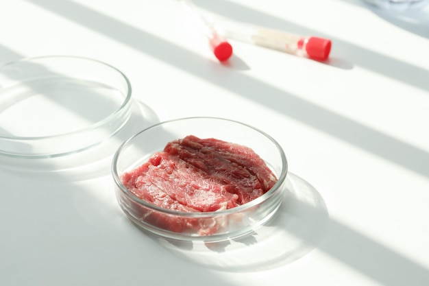 Capsula di Petri con pezzi di carne coltivata cruda su tavolo bianco nello spazio del laboratorio per il testo