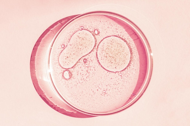 Capsula di Petri Coppa di Petri con liquido Elementi chimici olio cosmetico Gel molecole d'acqua virus Closeup Su uno sfondo rosa