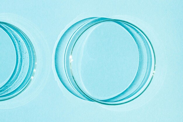 Capsula di Petri Su sfondo blu blu