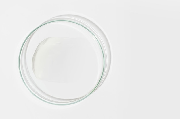 Capsula di Petri su sfondo chiaro Con una macchia di crema bianca Crema cosmetica maschera viso texture crema Vista dall'alto