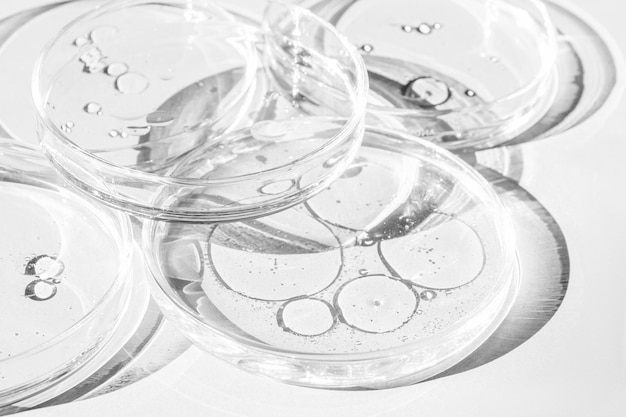 Capsula di Petri Tazze di Petri con liquido Kit Elementi chimici olio cosmetico Gel molecole d'acqua virus Closeup Su uno sfondo bianco