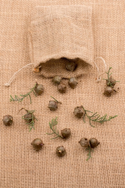 Capsule di baccelli vegetali dal sacco