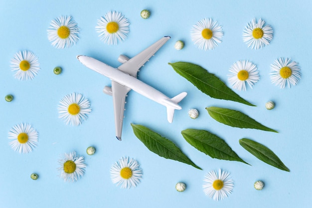 Carburante per aviazione sostenibile Modello di aeroplano bianco foglie verdi fresche su sfondo blu