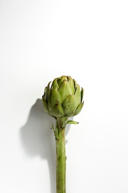 Carciofi crudi freschi. Su sfondo bianco