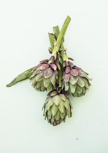 Carciofo fresco su sfondo bianco Primo piano di carciofi crudi