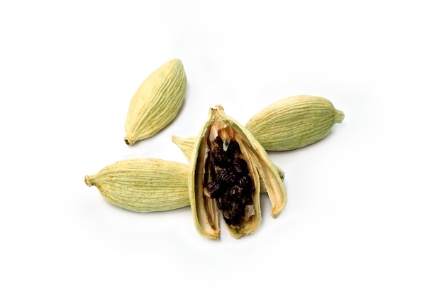 Cardamomo fresco su sfondo bianco