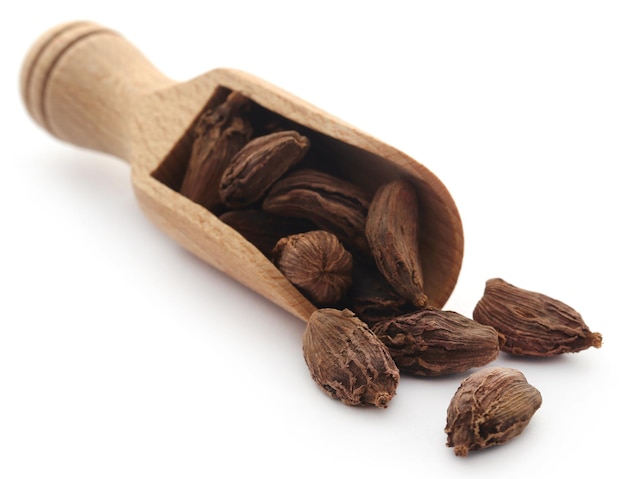 Cardamomo nero in paletta di legno su sfondo bianco