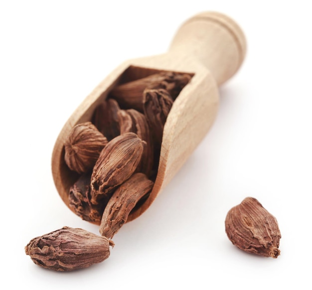 Cardamomo nero in paletta di legno su sfondo bianco