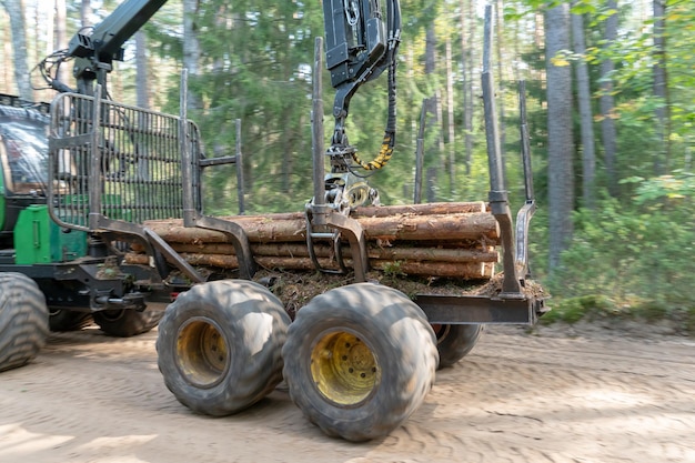 Caricamento di tronchi su un rimorchio per autocarro mediante caricatore da trattore con gru a benna Trasporto di tronchi di conifere alla segheria Disboscamento e sfruttamento della natura abbattimento alberi