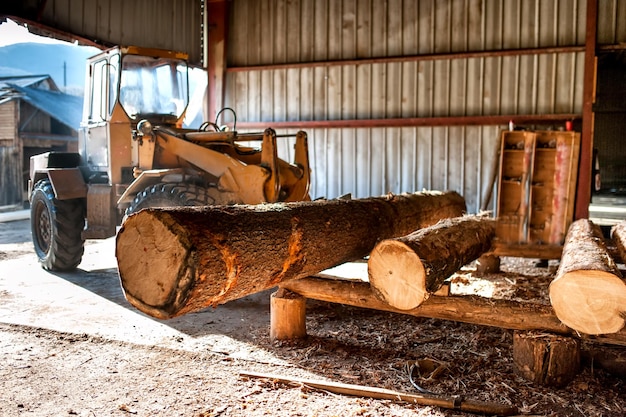 Caricatore di tronchi industriale operante presso la produzione industriale di legno fa